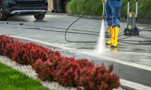 Roof Power Washing Services in Carbondale, IL
