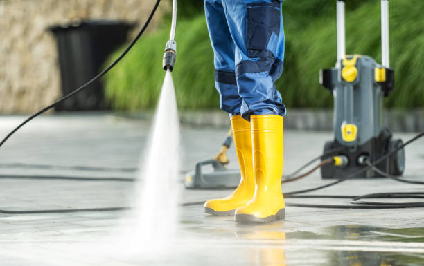 Best Roof Pressure Washing  in Carbondale, IL
